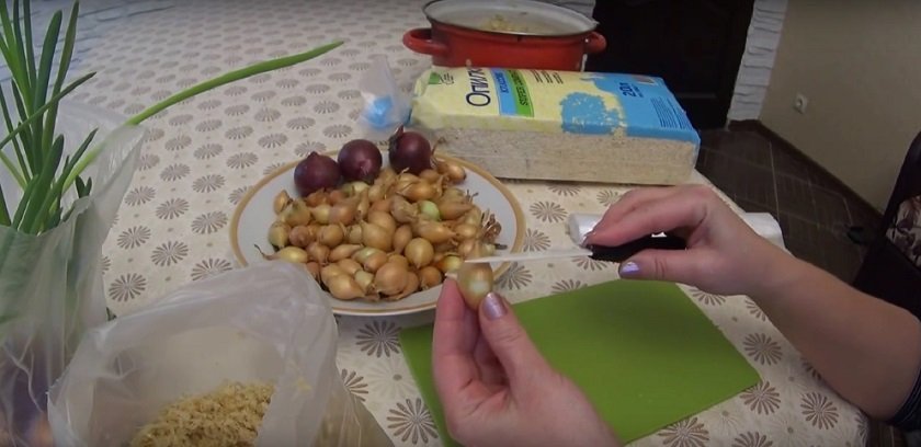 как вырастить зеленый лук