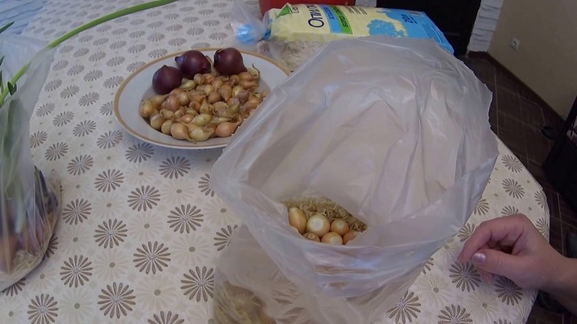 как вырастить зеленый лук в пакете