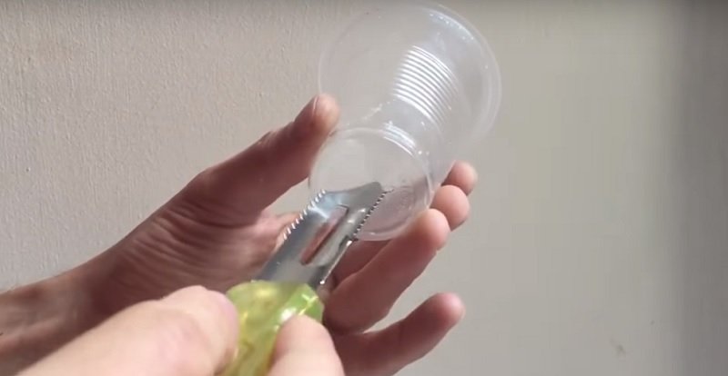 как вырастить черри