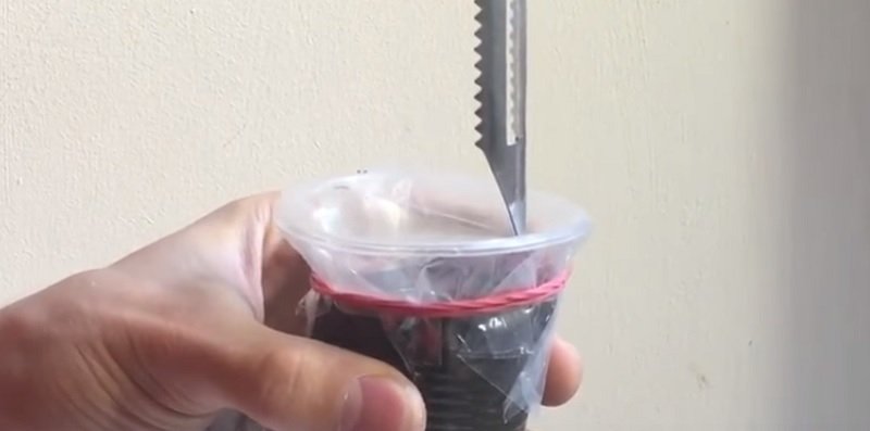 как вырастить черри