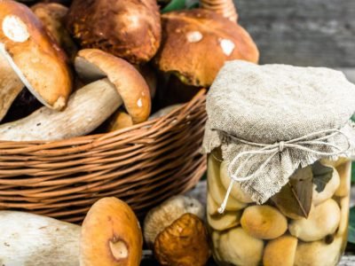 Как заготовить грибы на зиму