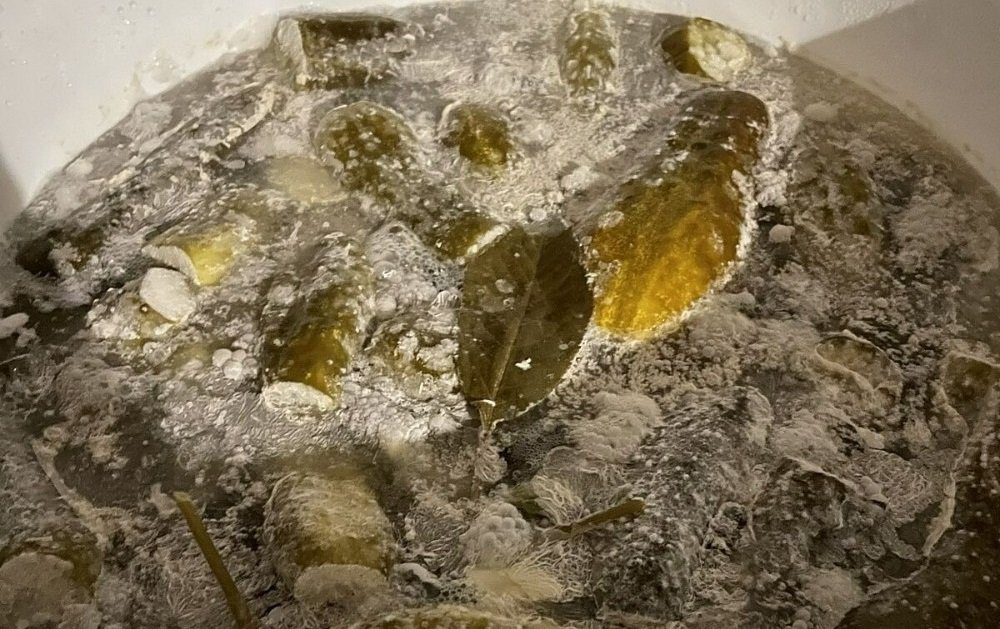 квашеные огурцы