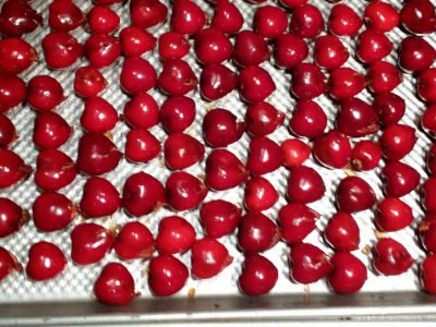 Как замораживать продукты