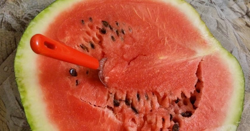 мороженое из арбуза