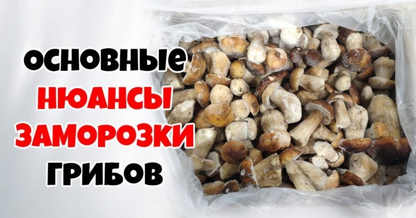 как заморозить грибы на зиму