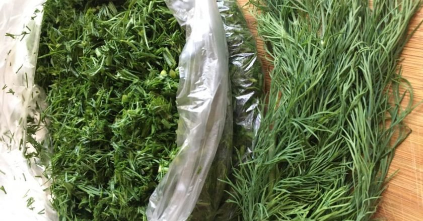 Как заморозить укроп на зиму: лучшие варианты как заморозить укроп на зиму