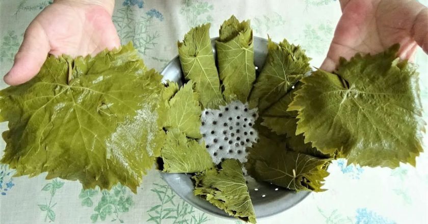 как хранить виноградные листья