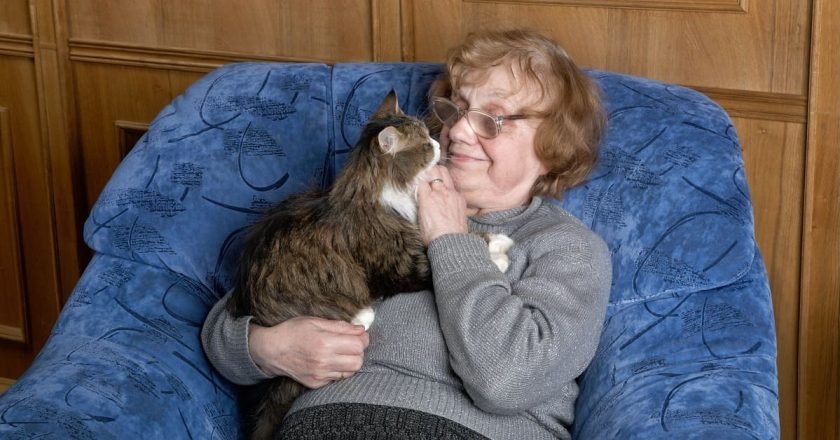 Какие породы кошек нельзя заводить пожилым людям