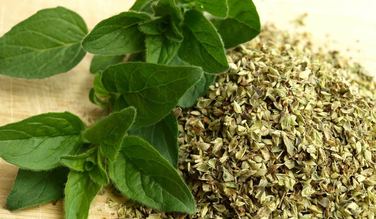 сушеный орегано