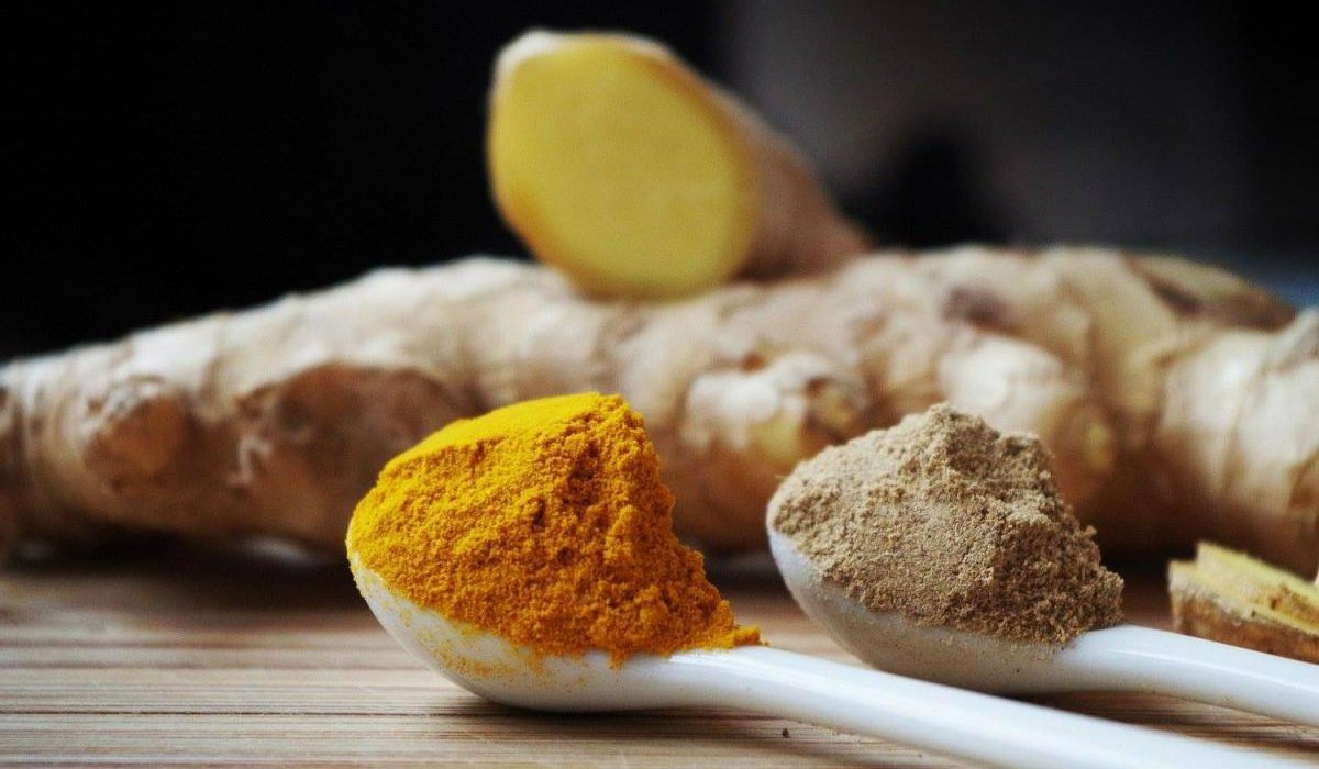 корень куркумы