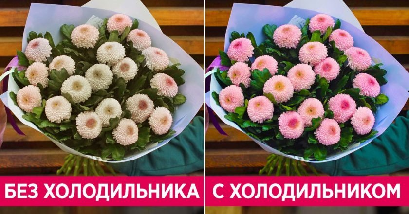 Какие вещи нужно хранить в холодильнике