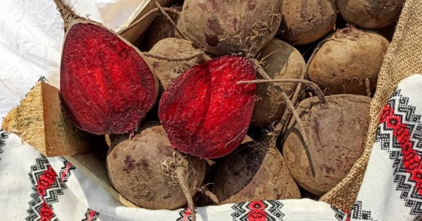 какую свеклу лучше добавлять в борщ