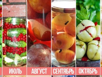 Календарь заготовок: когда созревают фрукты и овощи