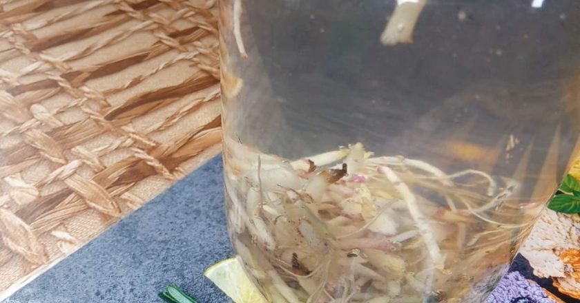 настой на картофельных ростках