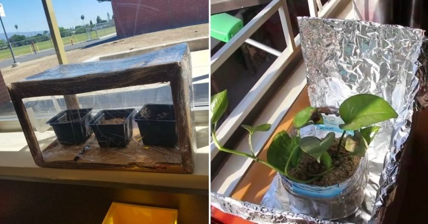 картонная коробка