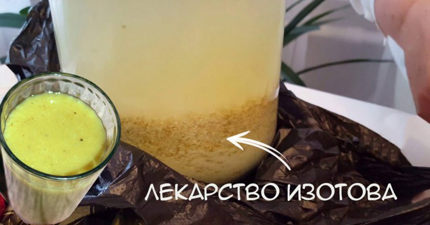 кисель изотова