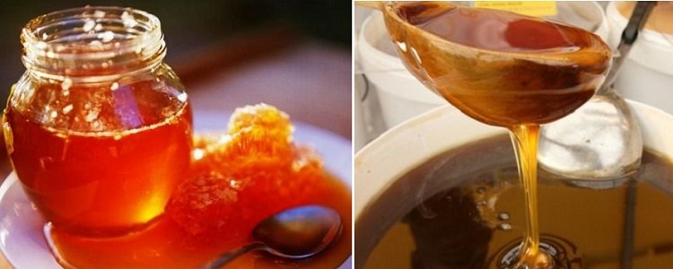 мёд с антибиотиком