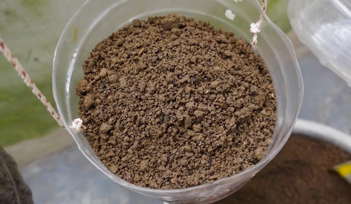 бутылка с землей