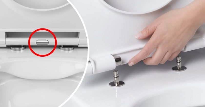 кнопка крышки унитаза