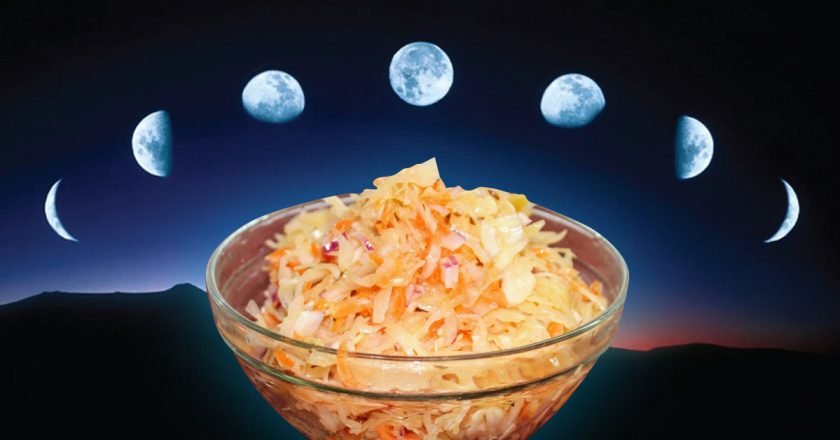 Когда квасить капусту