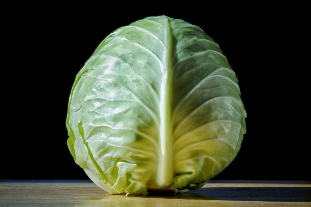 когда квасить капусту