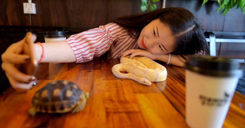 Контактные кафе и рестораны