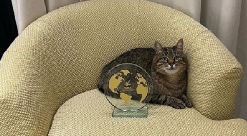 Степан с выигранной премией