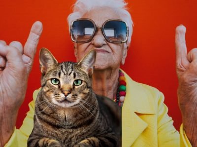 Коты-долгожители: какие породы обладают крепким здоровьем