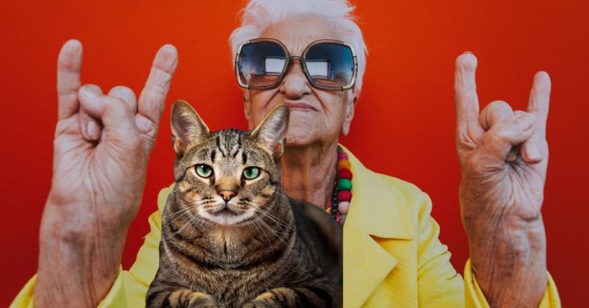 коты-долгожители