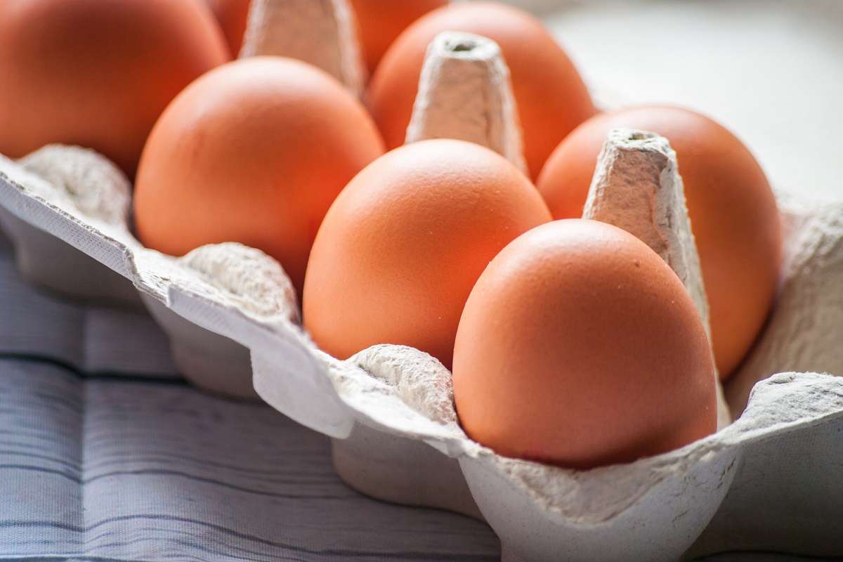 Крупные и мелкие яйца: какие покупать?