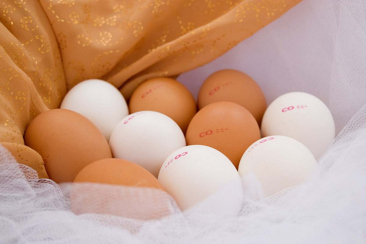 Какие яйца лучше купить. Яйцо. Яйцо куриное. Сорта яиц куриных. Категории яиц куриных.