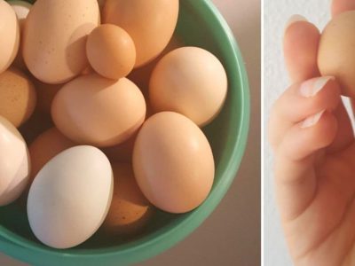 Крупные и мелкие яйца: какие покупать?