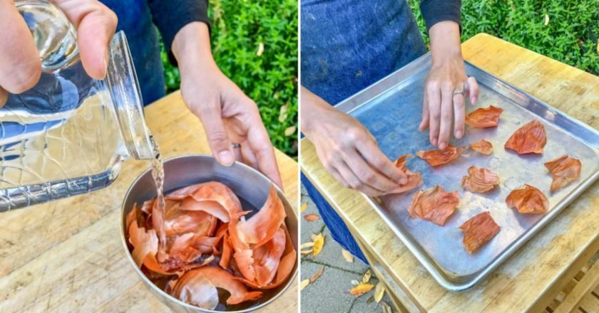 луковая шелуха в быту