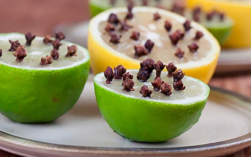 лимон от комаров