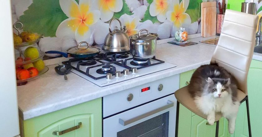 как оформить светлую кухню