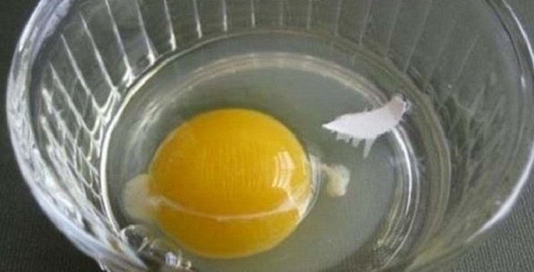 зажим для упаковок