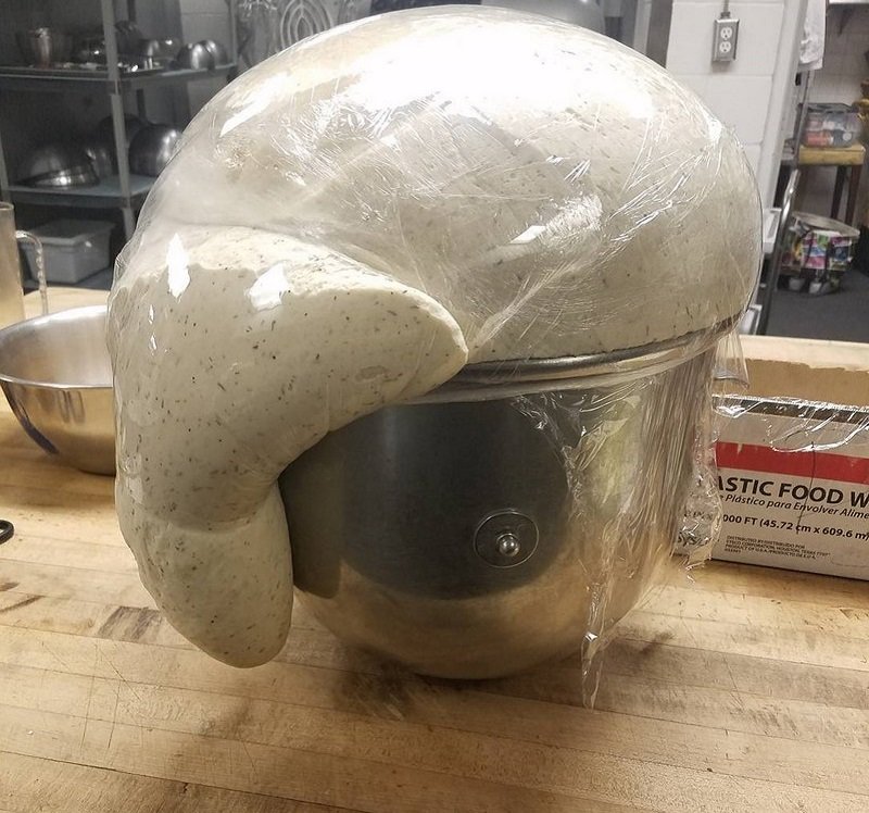 кулинарные катастрофы