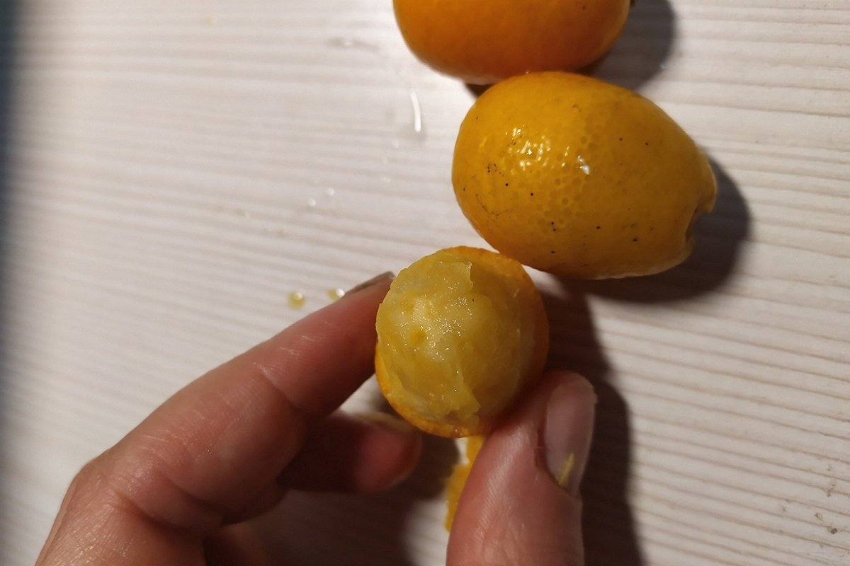 Маленькие лимоны кумкват