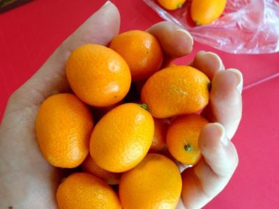 Кумкват: что это за фрукт