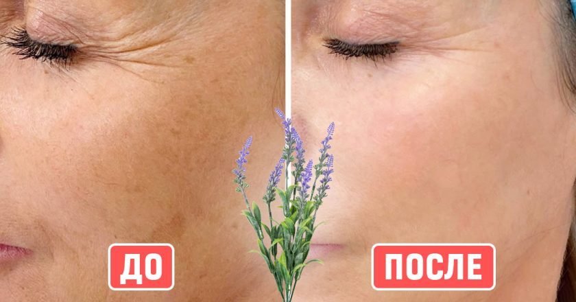 Как работает лавандовое масло