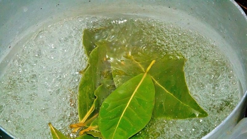 vlastnosti bobkového listu