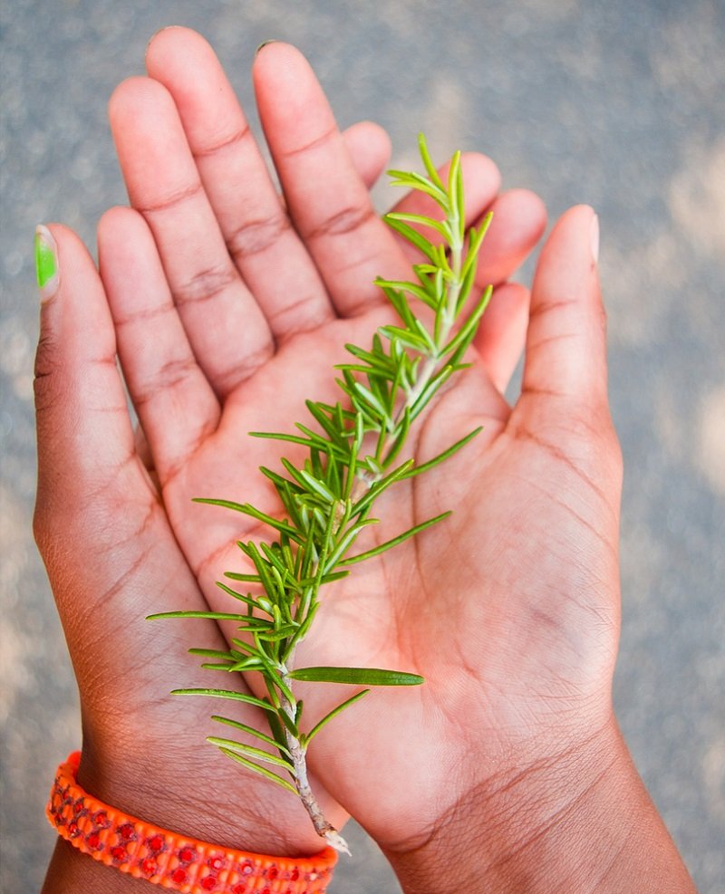 еда для уборки