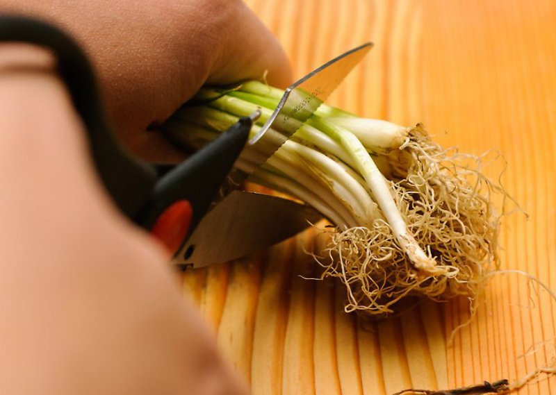 кухонные приборы