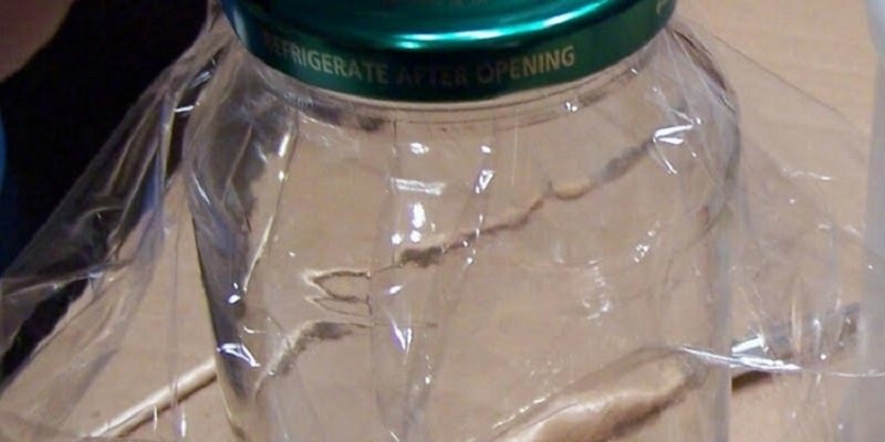 Как использовать пищевую пленку