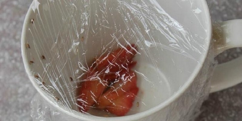 Как использовать пищевую пленку