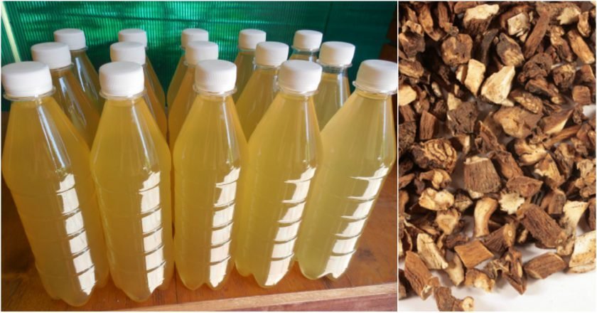 сироп из корня одуванчика