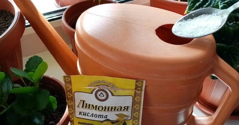 раствор с лимонной кислотой