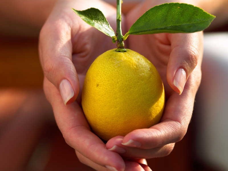 чистка организма с помощью лимонов