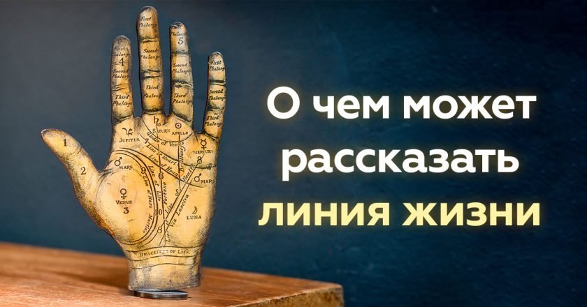 всё о линии жизни