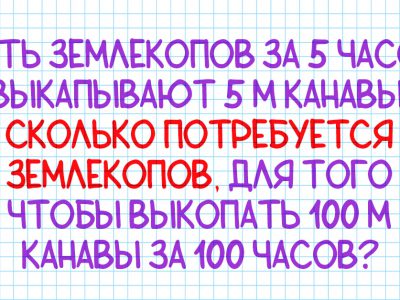 Логические задачи: подборка из 7 загадок